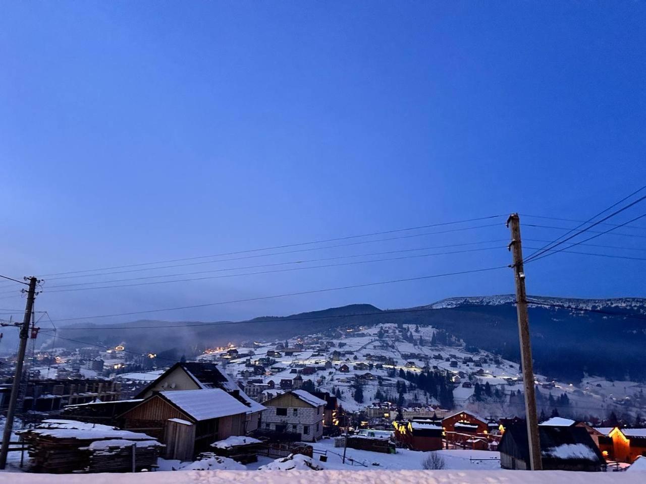 Park House Palyanytsya Exterior foto